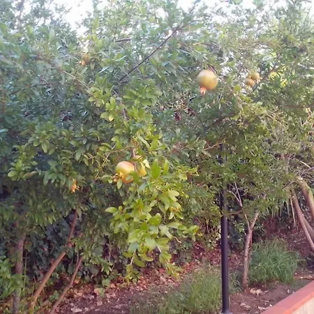 Nocleg ze śniadaniem Pian Del 3*