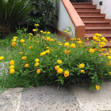 Pian Del Caltanissetta