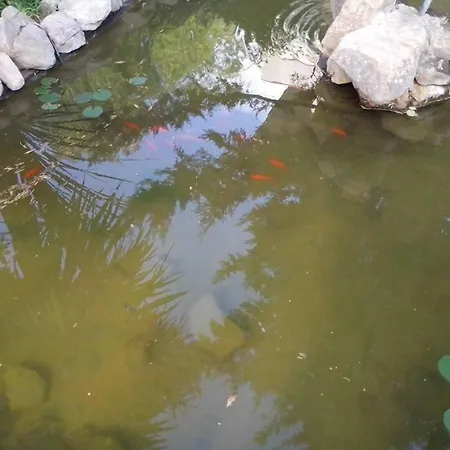 Nocleg ze śniadaniem Pian Del Caltanissetta