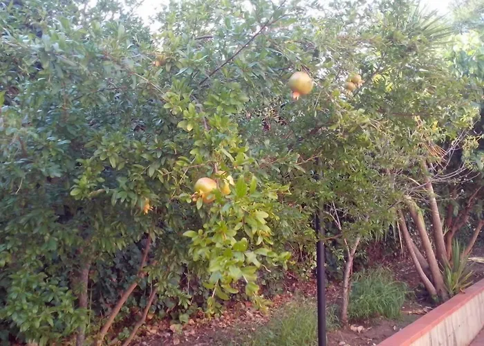 לינה וארוחת בוקר Pian Del 3*